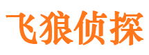 辽中侦探公司